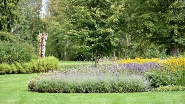 Parcs et Jardins Sandra Almagro - jardinier Auch